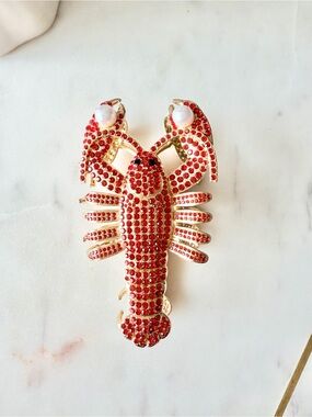 Lobster Claw Hair Clip